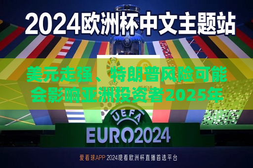 美元走强、特朗普风险可能会影响亚洲投资者2025年投资押注  第1张