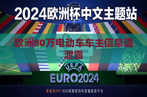欧洲80万电动车车主信息遭泄露  第1张