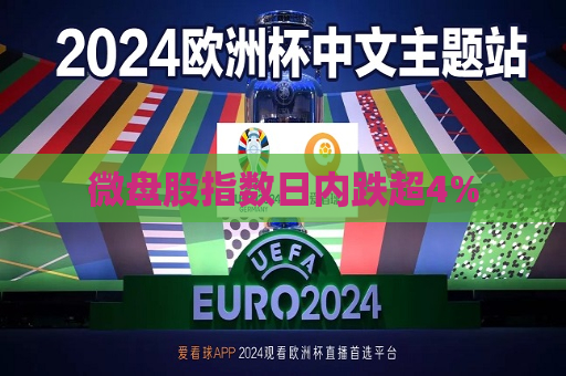 微盘股指数日内跌超4%  第1张