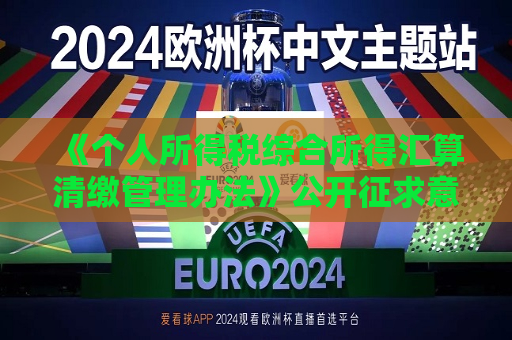 《个人所得税综合所得汇算清缴管理办法》公开征求意见  第1张