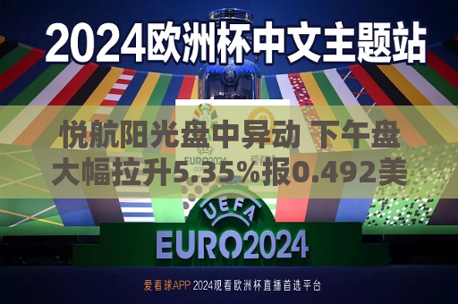 悦航阳光盘中异动 下午盘大幅拉升5.35%报0.492美元