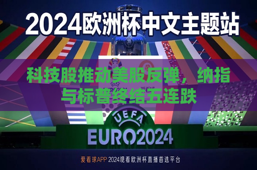 科技股推动美股反弹，纳指与标普终结五连跌