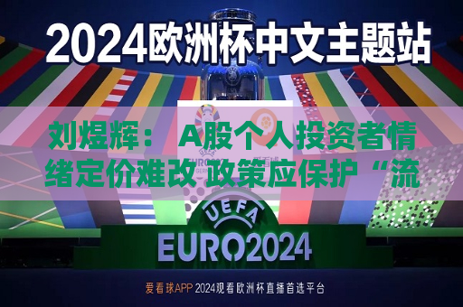 刘煜辉： A股个人投资者情绪定价难改 政策应保护“流动性溢价”而非压制  第1张