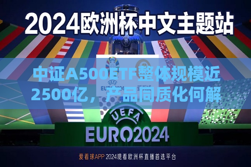 中证A500ETF整体规模近2500亿，产品同质化何解  第1张