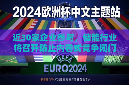 近30家企业参与，储能行业将召开防止内卷式竞争闭门研讨会  第1张