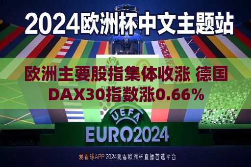 欧洲主要股指集体收涨 德国DAX30指数涨0.66%  第1张