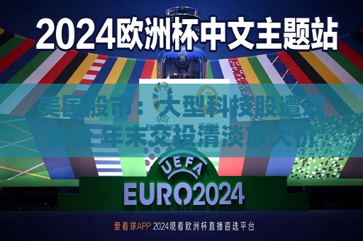 美国股市：大型科技股遭遇抛盘 年末交投清淡放大价格走势  第1张
