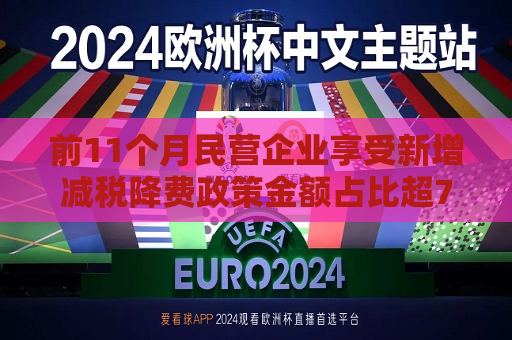 前11个月民营企业享受新增减税降费政策金额占比超70%  第1张