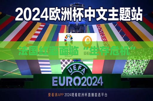 法国红酒面临“生存危机”