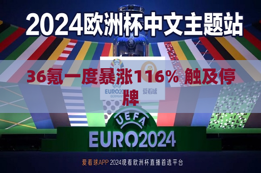 36氪一度暴涨116% 触及停牌  第1张