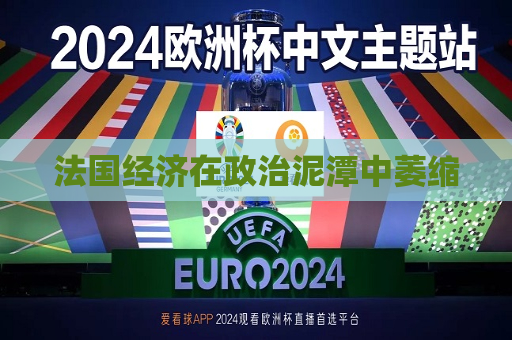 法国经济在政治泥潭中萎缩