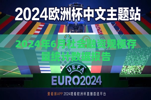 2024年6月社会融资规模存量统计数据报告