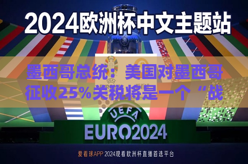 墨西哥总统：美国对墨西哥征收25%关税将是一个“战略错误”  第1张