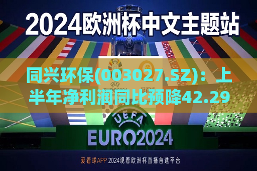 同兴环保(003027.SZ)：上半年净利润同比预降42.29%-54.20%  第1张