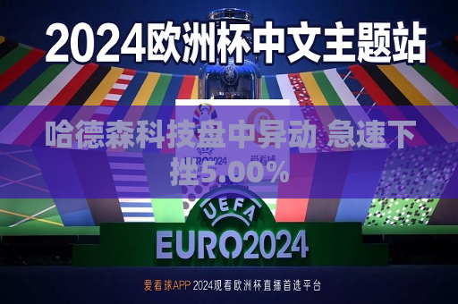 哈德森科技盘中异动 急速下挫5.00%