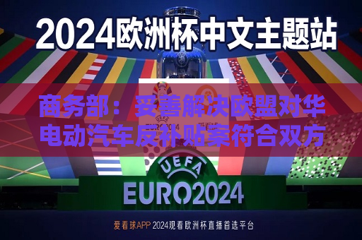 商务部：妥善解决欧盟对华电动汽车反补贴案符合双方利益  第1张