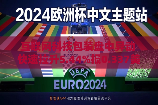 互联网科技包装盘中异动 快速拉升5.44%报0.337美元  第1张