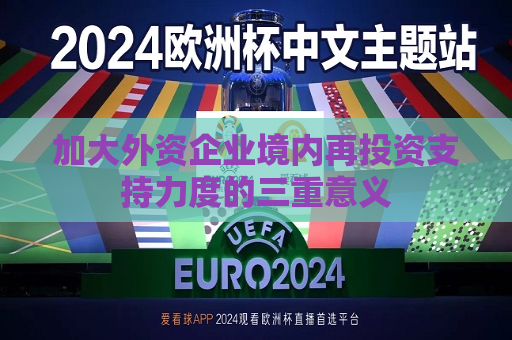 加大外资企业境内再投资支持力度的三重意义  第1张