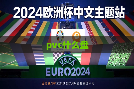 pvc什么盘