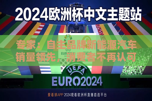 专家：自主品牌新能源汽车销量领先，消费者不再认可外资品牌溢价  第1张