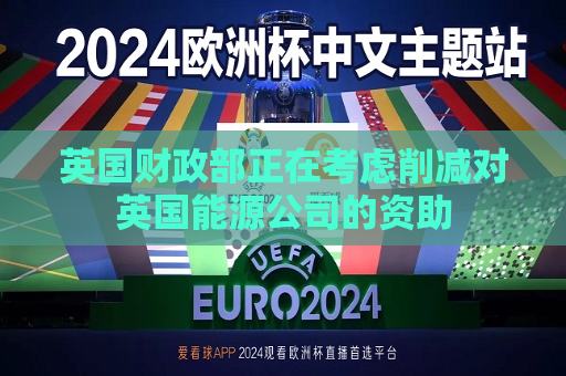 英国财政部正在考虑削减对英国能源公司的资助  第1张