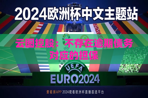 云图控股：不存在逾期债务对应的担保  第1张