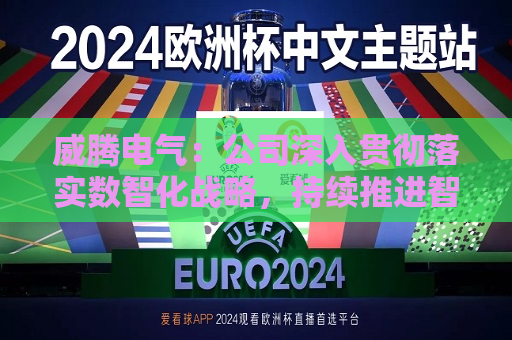 威腾电气：公司深入贯彻落实数智化战略，持续推进智能制造建设工作  第1张