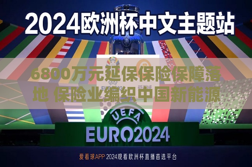 6800万元延保保险保障落地 保险业编织中国新能源汽车出海保障网  第1张