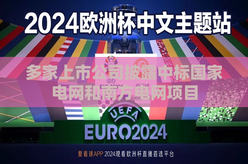 多家上市公司披露中标国家电网和南方电网项目  第1张