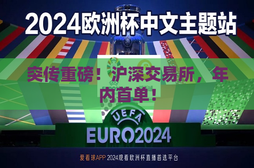 突传重磅！沪深交易所，年内首单！  第1张
