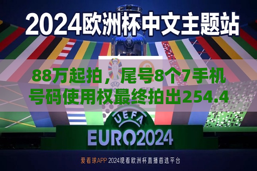 88万起拍，尾号8个7手机号码使用权最终拍出254.4万元  第1张