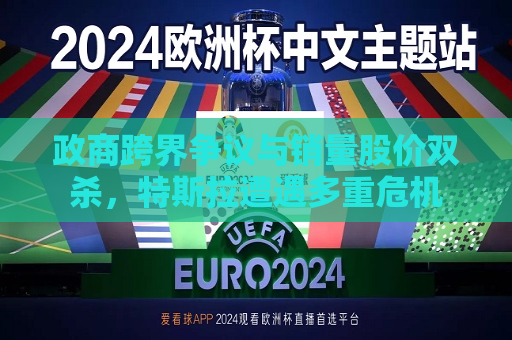 政商跨界争议与销量股价双杀，特斯拉遭遇多重危机  第1张
