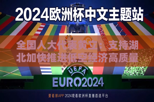 全国人大代表黄立：支持湖北加快推进低空经济高质量发展  第1张
