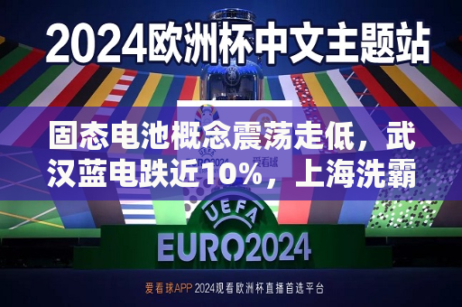 固态电池概念震荡走低，武汉蓝电跌近10%，上海洗霸等跟跌  第1张