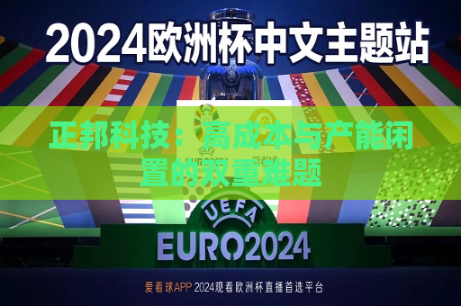 正邦科技：高成本与产能闲置的双重难题  第1张