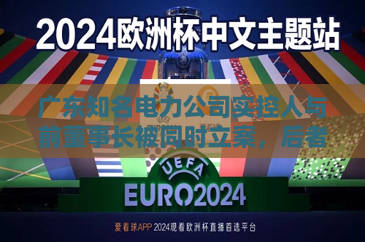广东知名电力公司实控人与前董事长被同时立案，后者曾因职务侵犯被判9年  第1张