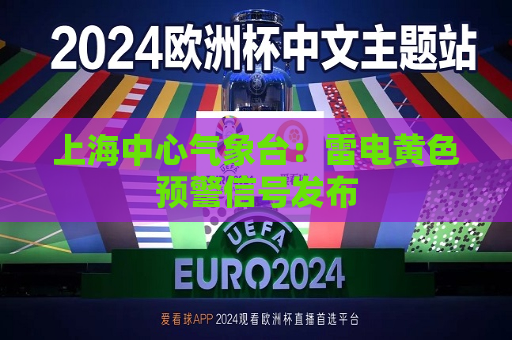 上海中心气象台：雷电黄色预警信号发布  第1张