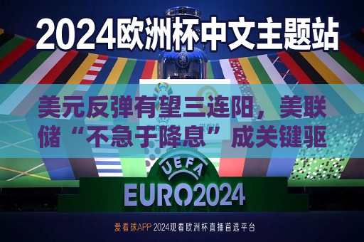 美元反弹有望三连阳，美联储“不急于降息”成关键驱动力  第1张