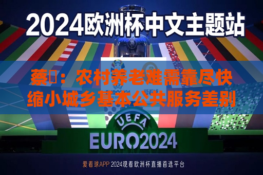 蔡昉：农村养老难需靠尽快缩小城乡基本公共服务差别等措施来解决  第1张