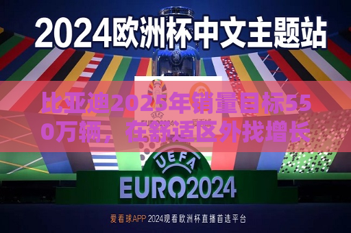 比亚迪2025年销量目标550万辆，在舒适区外找增长  第1张