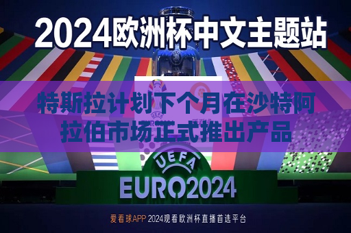 特斯拉计划下个月在沙特 *** 市场正式推出产品  第1张