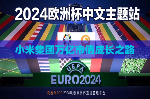 小米集团万亿市值成长之路  第1张