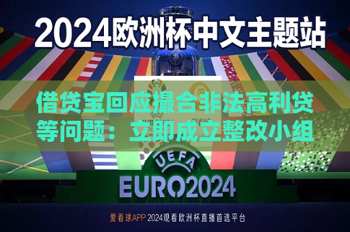 借贷宝回应撮合非法高利贷等问题：立即成立整改小组  第1张