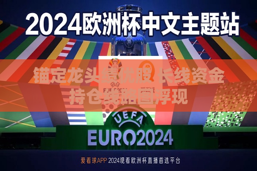 锚定龙头绩优股 长线资金持仓线路图浮现  第1张