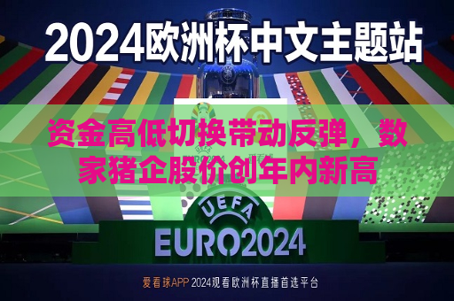 资金高低切换带动反弹，数家猪企股价创年内新高  第1张