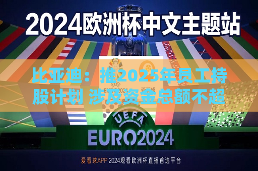 比亚迪：推2025年员工持股计划 涉及资金总额不超41亿元  第1张
