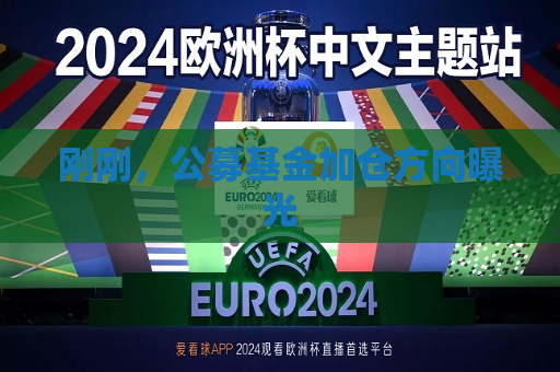 刚刚，公募基金加仓方向曝光