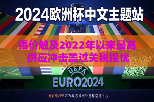锡价触及2022年以来更高 供应冲击盖过关税担忧  第1张