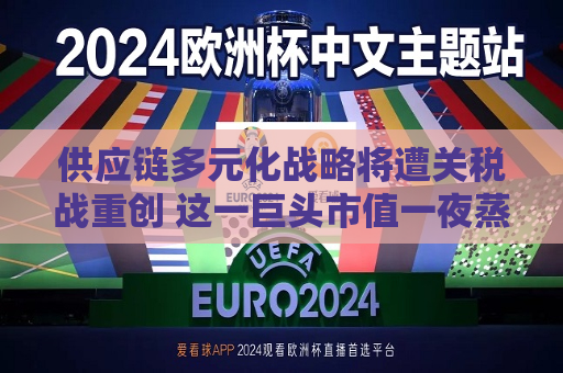供应链多元化战略将遭关税战重创 这一巨头市值一夜蒸发超3000亿美元  第1张