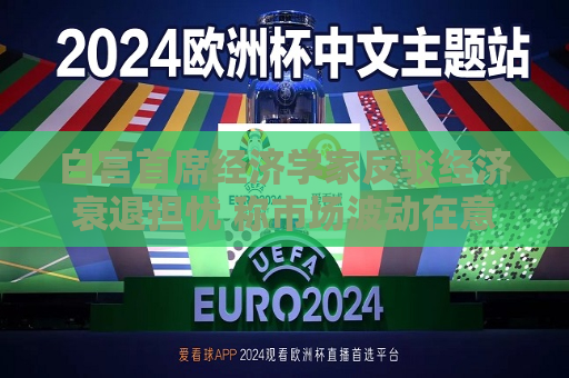 白宫首席经济学家反驳经济衰退担忧 称市场波动在意料之中  第1张